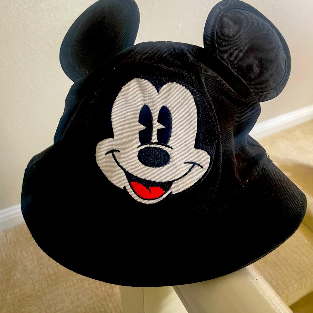 Mickey ear hat